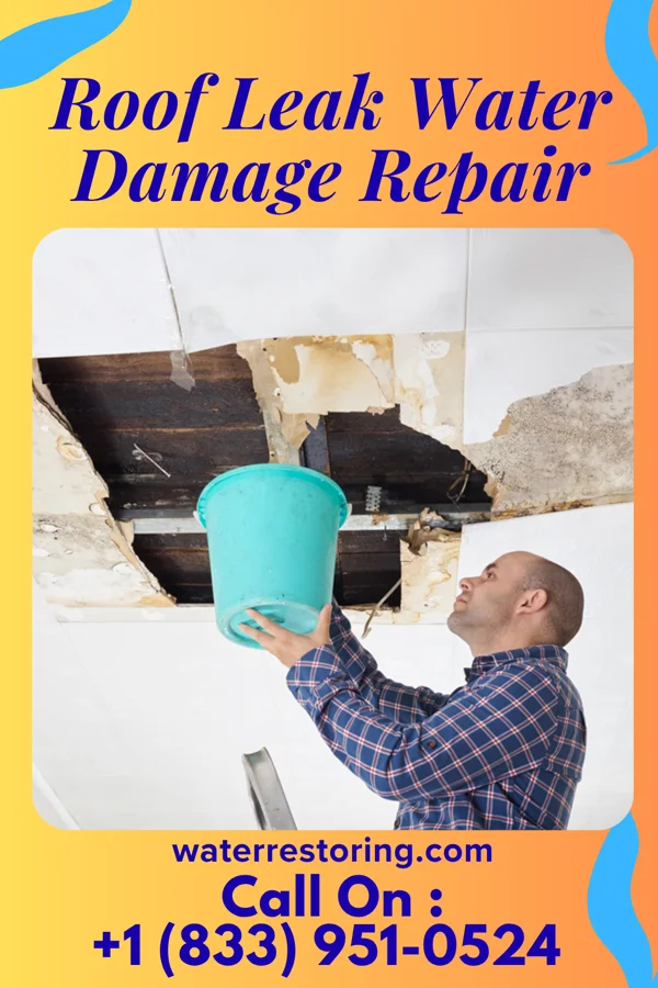 Roof Leak Water Damage Repair in Hillsdale, IL
